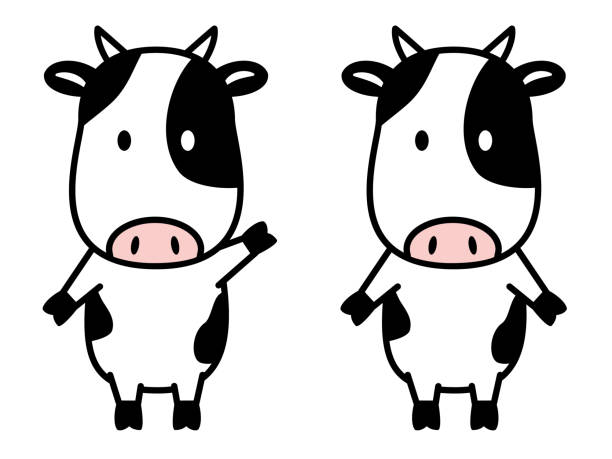ilustraciones, imágenes clip art, dibujos animados e iconos de stock de carácter de vaca de pie frente al frente - cartoon cow cute vector