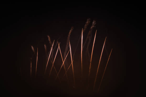Fireworks light up the sky with smoke. Colorful. Dark night.