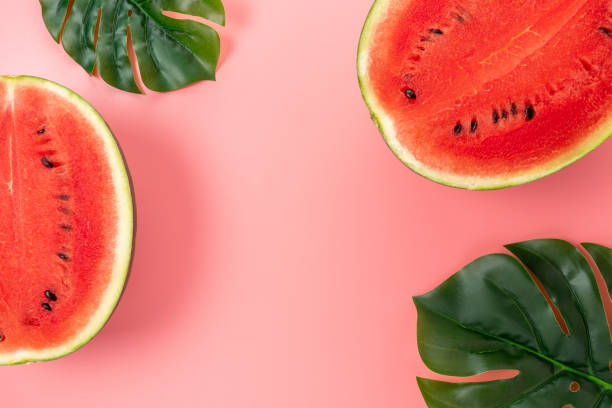 istock Watermelon with palm tree leaf on pink background. Creative minimal summer concept. 1288113072