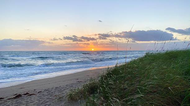 istock Colorful sunrise at the beach from the grassy dunes 1288113432