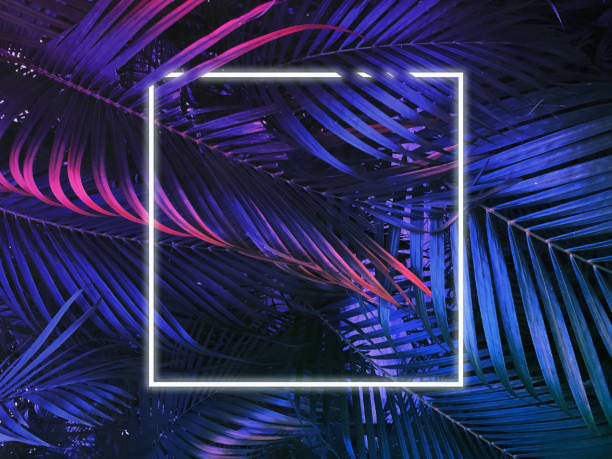 istock fluorescent color flat lay layout design background with tropical palm leaves 1288113617