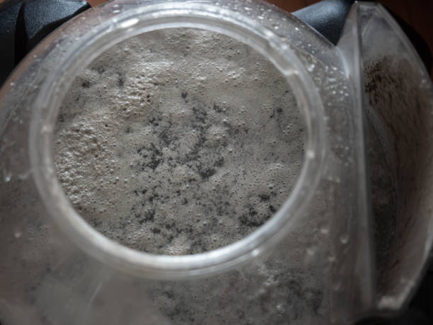 istock dust mites in water vacuum system after cleaning room. 1288114681