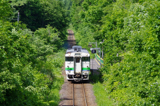 Tsukigata-cho, Hokkaido, Japan - June 10, 2018 : Green leaves and Local train at the Toyogaoka station