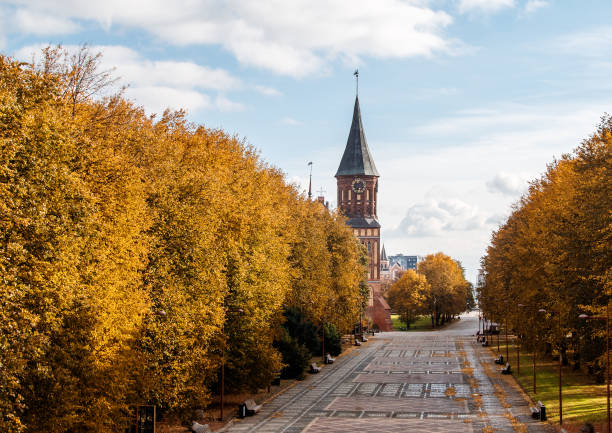view of the cathedral on an autumn day view of the cathedral in kaliningrad russia on an sunny autumn day kaliningrad stock pictures, royalty-free photos & images