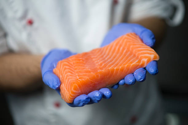 Chef holds piece of fresh raw sushi salmon fillet in hands in protective gloves. Sushi Chef holds piece of fresh raw salmon fillet in hands in protective gloves. Fish fillet in focus on blurred background. Sushi master holds fish before cooking sushi salmon animal stock pictures, royalty-free photos & images