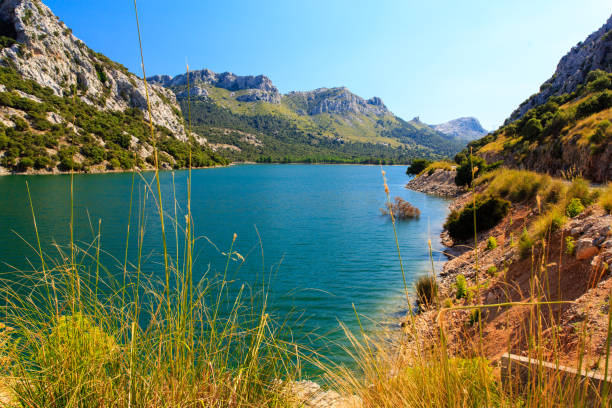 Majorca