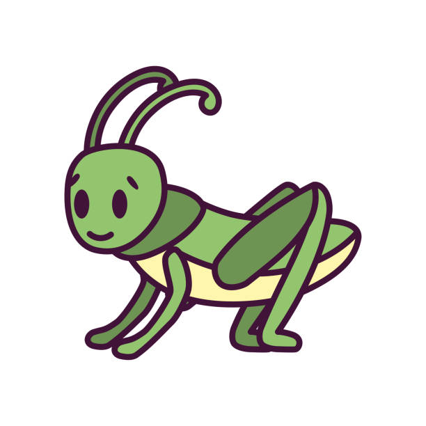 illustrazioni stock, clip art, cartoni animati e icone di tendenza di cartone animato isolato di un grillo - grasshopper cricket insect symbol