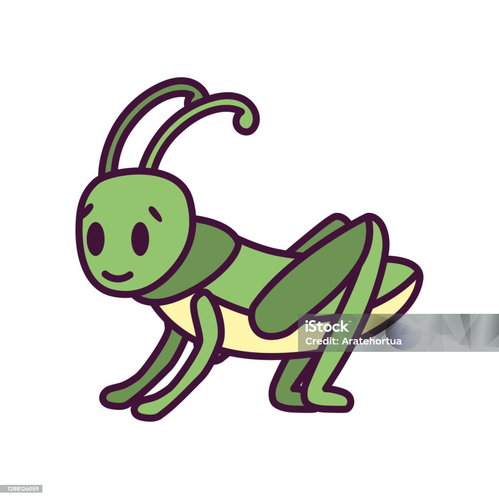Isolated Cartoon Of A Cricket Stock Illustration - Download Image Now -  Sport of Cricket, Insect, Animal - iStock