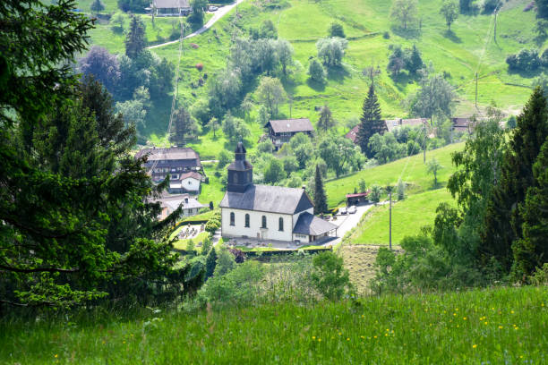 istock Small Meadow Valley in the Black Forest. 1288126872