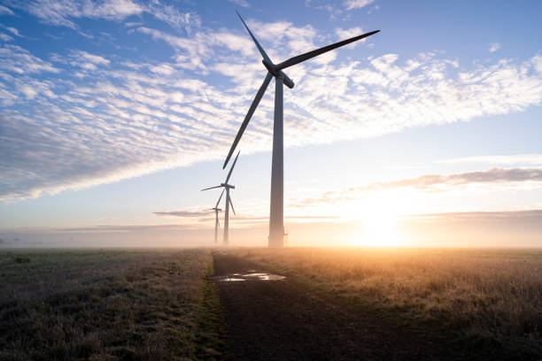 three wind turbines at sunrise - winter farm vibrant color shadow imagens e fotografias de stock