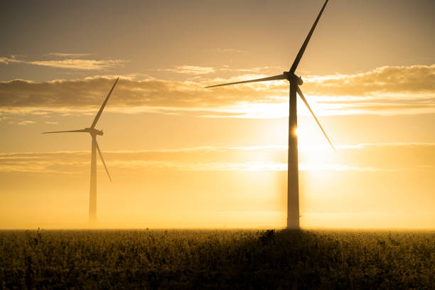 two wind turbines at sunrise - winter farm vibrant color shadow imagens e fotografias de stock