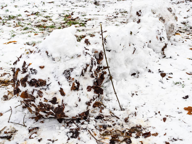 istock wall of snow fortress molded from snowballs 1288129919