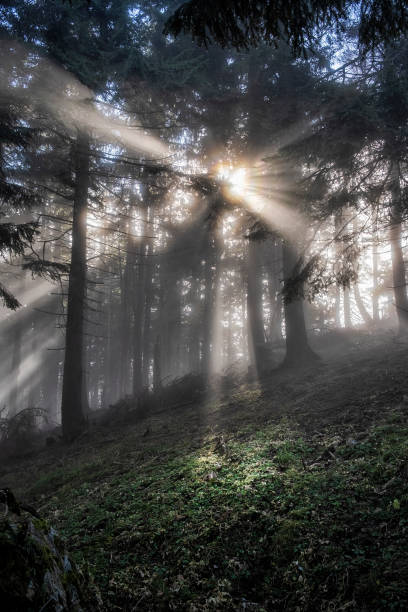 istock Sunrays scene, Hnilicka Kycera, Little Fatra, Slovakia 1288129946