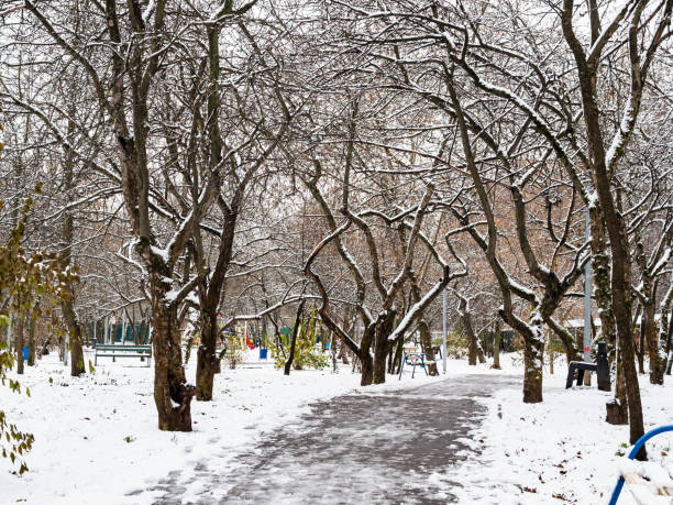 footpath in city park covered by the first snow stock photo