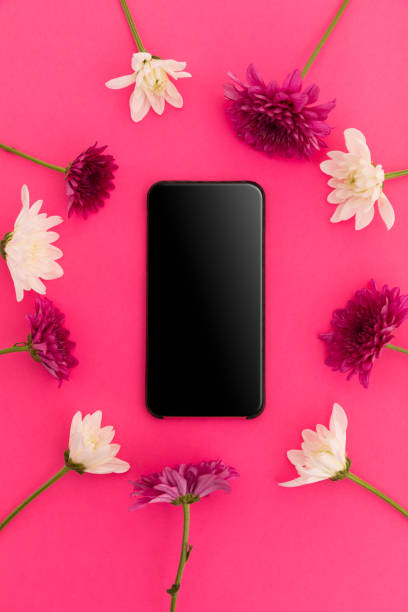 istock Smartphone with blank screen and pink and white flowers on pink background 1288130431