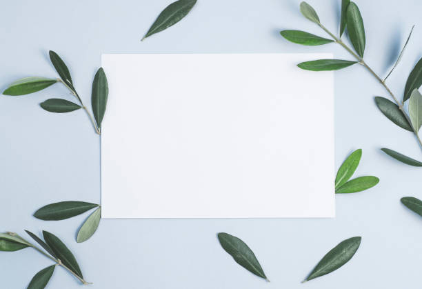istock Minimalist kitchen styled invitation card mock-up with  olive branches for text and recipes, blue background, flat lay, copy space 1288130619