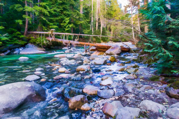 istock Trees Over Clear Creek 4_Illustration 1288132817
