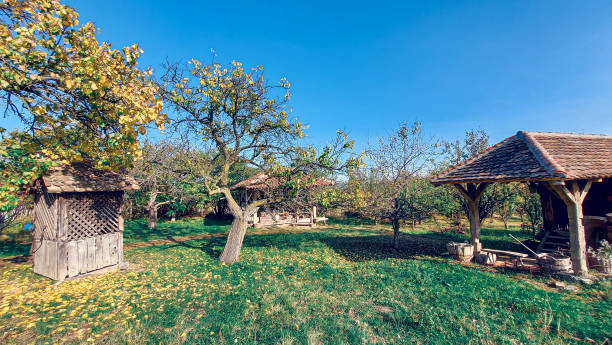 istock Serbian ethno village on a sunny day. 1288135833