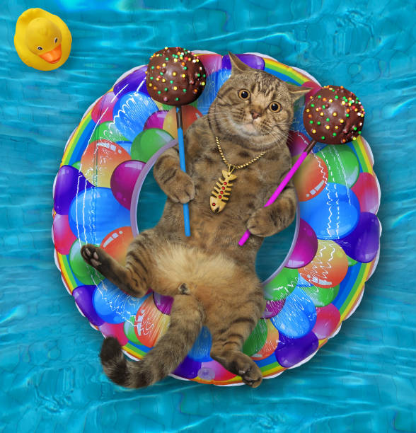 istock Cat on ring holds cake pops in pool 1288138139