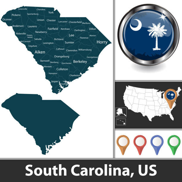 사우스캐롤라이나 주 - south carolina flag interface icons symbol stock illustrations