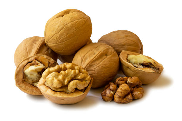 istock Isolated whole walnuts and walnut kernel halves without shell on a white background, close up. Seeds of the common walnut tree Juglans regia. Isolated macro food photo close up on a white background. 1288144750