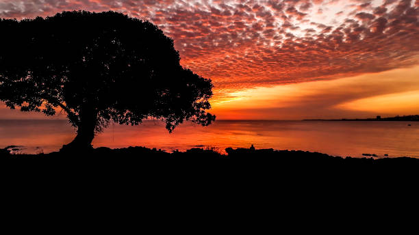 istock Sunset Landscape Scene, Montevideo, Uruguay 1288145689