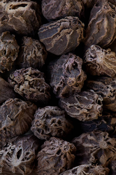 istock macro shot of exotic spice black cardamon from India 1288147242