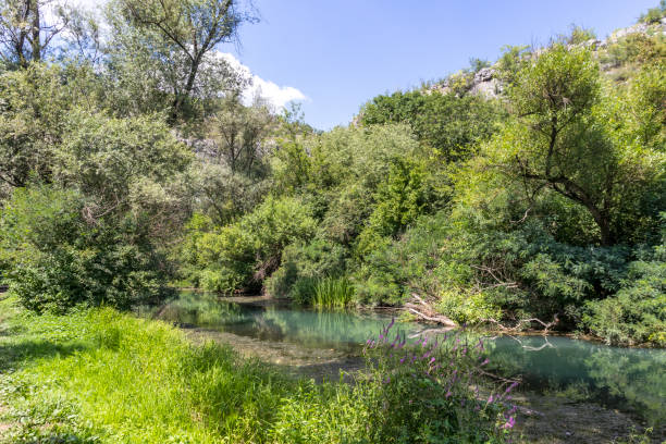 istock Iskar Panega Geopark, Bulgaria 1288147253