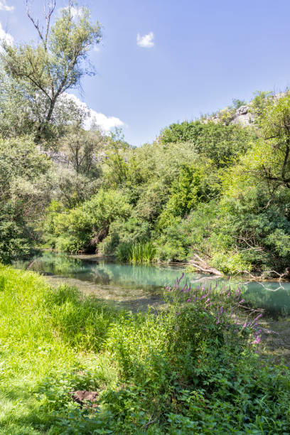 istock Iskar Panega Geopark, Bulgaria 1288147316
