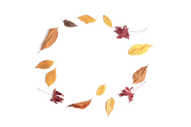 istock Autumn leaves frame on white paper background. 1288148969