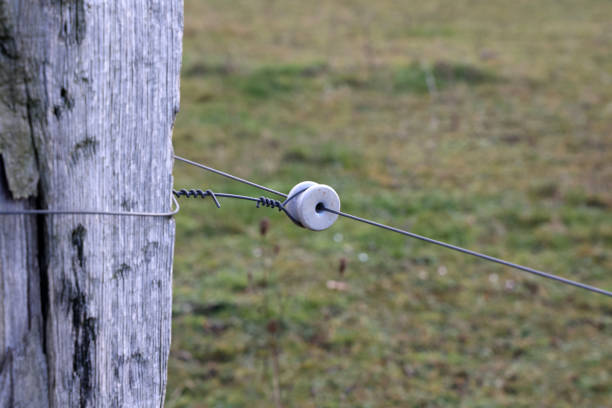 close up of a electrical wire fence around a pasture stock photo