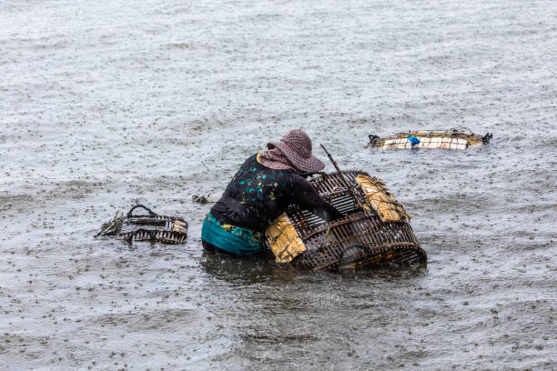 A Cambodian woman maintaining crab nets at the kep crab market on the gulf of Thailand. Kep, Cambodia, is 20 km from the town of Kampot, Cambodia