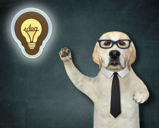 istock Dog in tie points to light bulb 1288154761