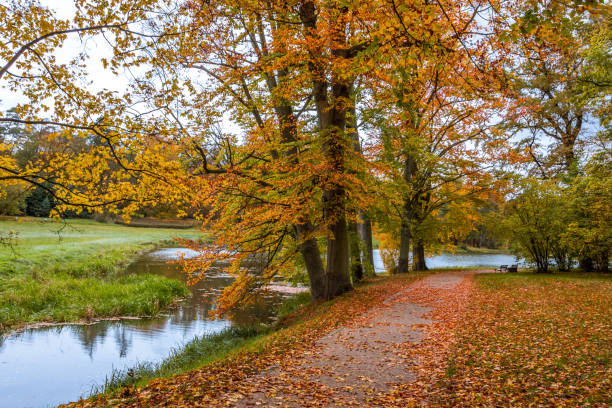 istock Autumn colors in the park 1288156974