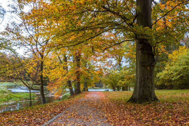 istock Autumn colors in the park 1288157019