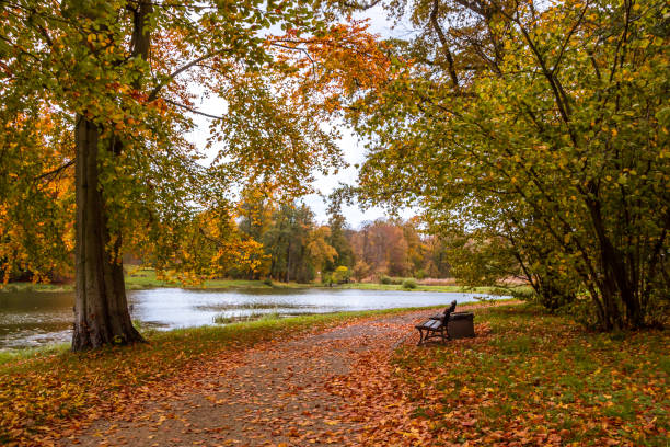 istock Autumn colors in the park 1288157049
