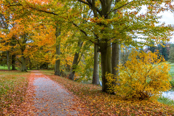 istock Autumn colors in the park 1288157065
