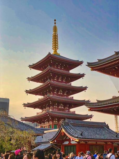 fotografii de stoc, fotografii și imagini scutite de redevențe cu pagoda veche cu cinci etaje la apusul soarelui într-un cartier tradițional din tokyo. - five story pagoda