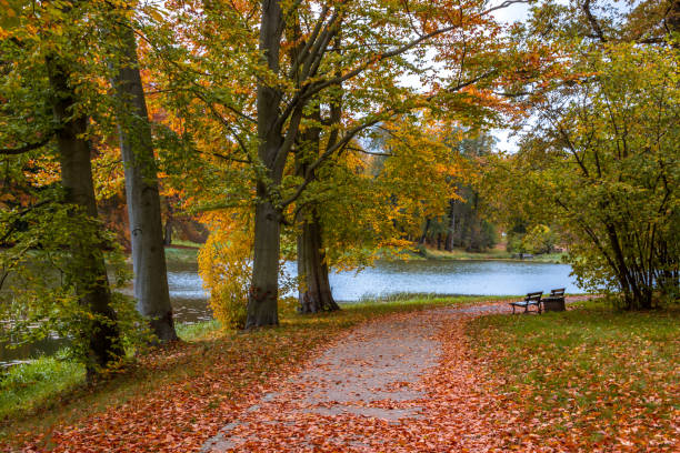 istock Autumn colors in the park 1288157736