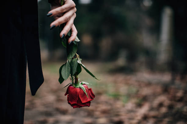 istock Close up of a rose flower in widow´s hand 1288160191