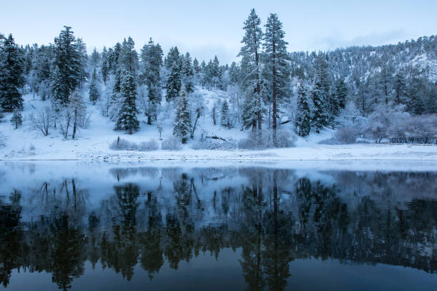 istock mountains and forest reflecting in lake during winter 1288160574