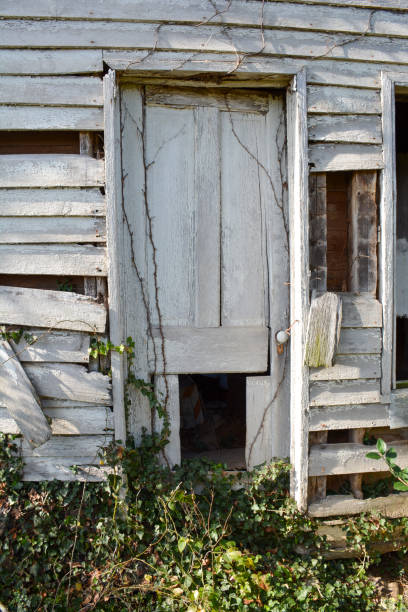 istock Old Wood Door 1288161238