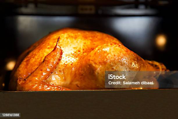 Turkey Is Roasting In The Oven Malibu Ca Stock Photo - Download Image Now - Roast Turkey, Oven, Turkey Meat