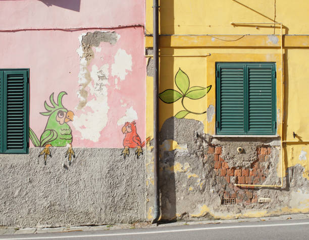 birds and nature scene drawn as graffiti on house
