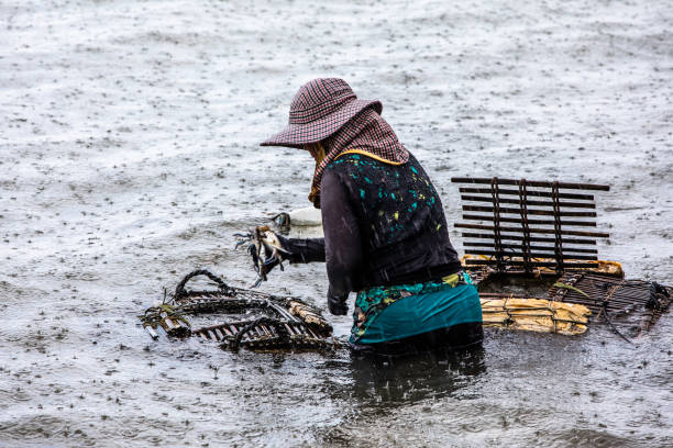 A Cambodian woman maintaining crab nets at the kep crab market on the gulf of Thailand. Kep, Camodia, is 20 km from the town of Kampot, Cambodia
