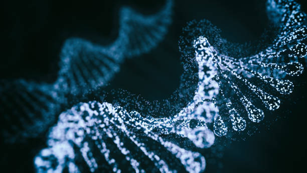 Abstract Genetics Disease Abstract Genetics Disease - 3d rendered image. Hologram view. SEM (TEM) macroscope image. DNA mutations. Vexas disease. Medicine Healthcare research concept. X chromosomes objects. crispr photos stock pictures, royalty-free photos & images