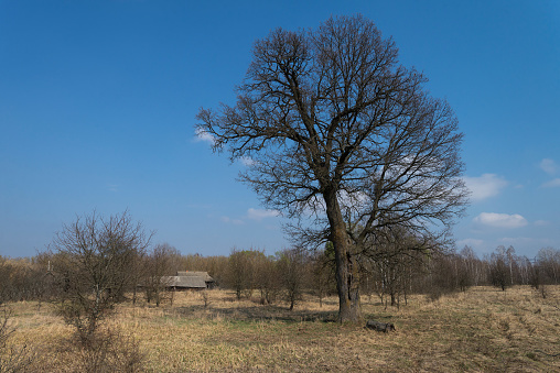 Abandoned village Starosillya, post apocalyptic landscape, spring season in Chernobyl exclusion zone, Ukraine
