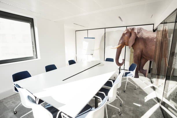 巨大な象がオフィスルームのビジネスコンセプトに入る - manager anger table furious ストックフォトと画像