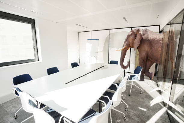 Huge elephant enter office room business concept Huge big elephant entering the office meeting room - business negotiation concept scram stock pictures, royalty-free photos & images