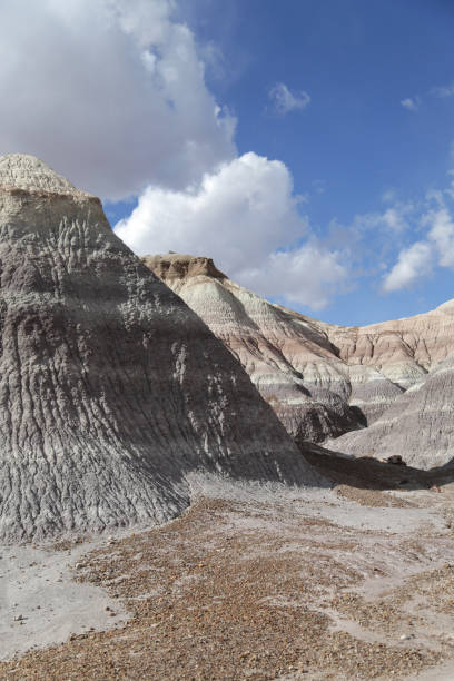 istock Blue Mesa Trailhead in Petrified Forest National Park 1288191595